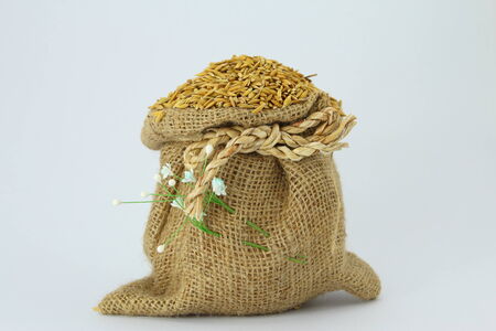 Paddy rice in small sack on White Backgroundsの写真素材
