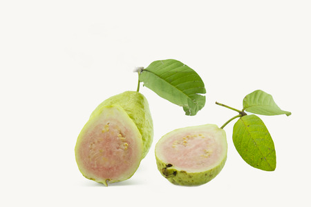 Guava ripe fruit yellow sweet with small hard seeds inside , Scientific neme : Psidium guajava L.の写真素材