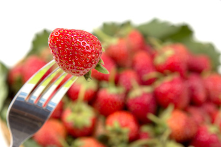 Red and Green Strawberry in Nature Farm の写真素材