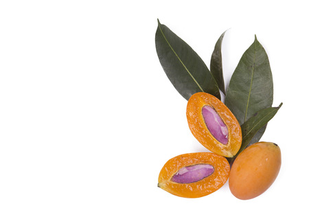 Marian plum Is native to Southeast Asia, including Myanmar, Thailand, Laos and Malaysia.