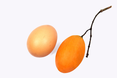 Marian plum Is native to Southeast Asia, including Myanmar, Thailand, Laos and Malaysia.