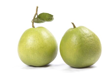 Grapefruit isolated on white background.の写真素材