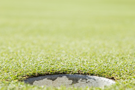 Golf ball in the hole.