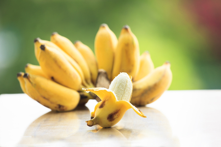 Cultivated Banana is a species of banana native to Southeast Asia.の写真素材