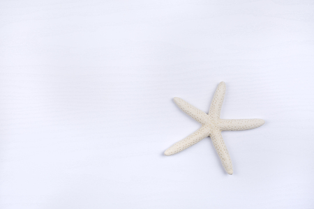 Starfish on white wood backgroundの写真素材