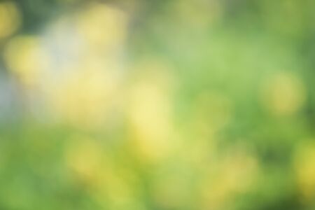 Abstract natural background defocused, defocused bokeh. Blurの写真素材