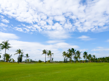 fairway in golfcourse with coconut trees and blue sky scene on sunshine dayの写真素材