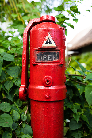 Red fire hydrant in the garden