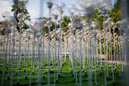 soft focus of decorative light bulbs in the parkの写真素材