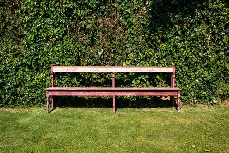 Wooden long bench in greenery backgroundの写真素材