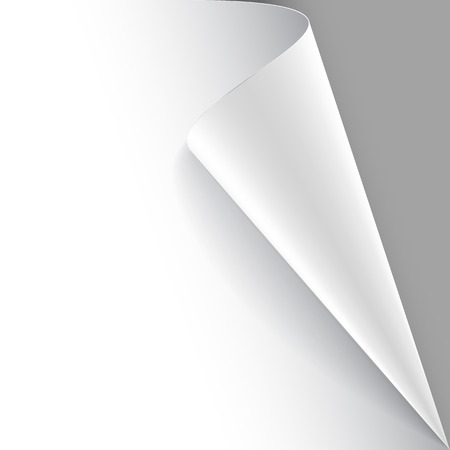 Paper poster hangs on the wall with a wrapped up corner. Vector illustrationのイラスト素材