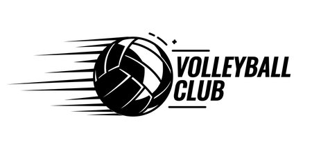 Volleyball ball black and white icons. Symbol or emblem. Vector illustration.のイラスト素材