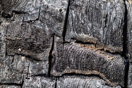Natural burned carbonised charred wood surface flat high quality textureの写真素材