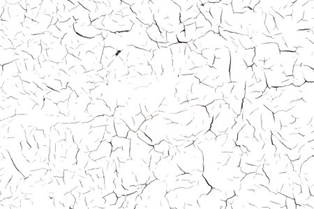 Ancient Cracked Wallpaper. Eroded Shabby Material. White Dry Frame. Modern Nature Construction. Gray Cracked Timber Wallpaper. Abandoned Wood Wall. Painted Cracked Timber Wallpaper.のイラスト素材