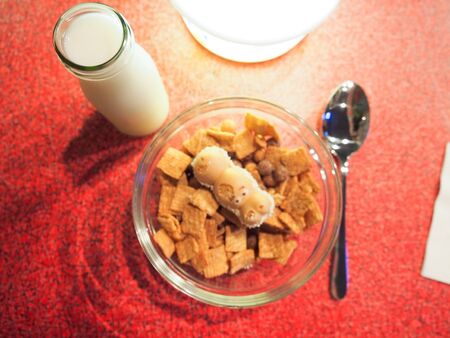 Cereal Killer Cafe at Stables Market, Camden Town