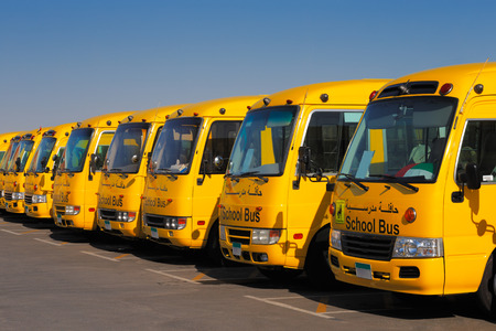 UAE, Middle East  An oblique perspective of 8 yellow Arabic school busses