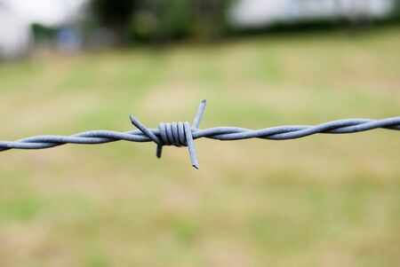 Close up barbed wire on green nature background. In a countryside fieldの写真素材