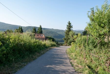 Landscape of a road in a southern countryside in Italy. Trees and old houseの写真素材
