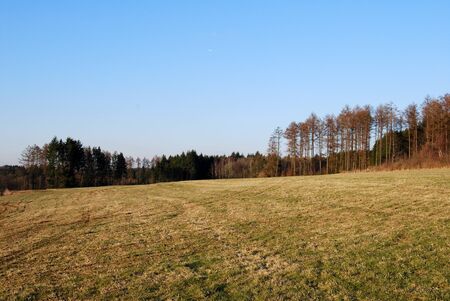 Landscape of a contryside field and forest trees, a beautiful autumn day. Nature photography with a blue skyの写真素材