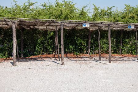 Tropical and natural parking spots in Italy vacationの写真素材