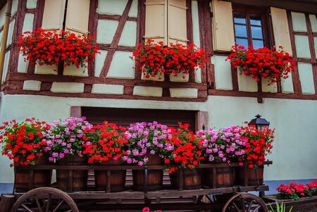 Eguisheim, France - July 20 2012: Pretty little traditional house with lots of flowers in Alsaceのeditorial素材
