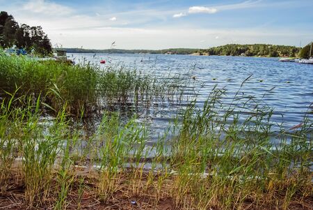 Lake of an island in Stockholm Archipelago, beautiful sunny summer day in Swedenの写真素材