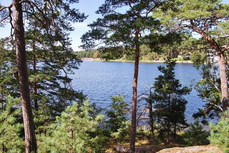 Lake of an island in Stockholm Archipelago, beautiful sunny summer day in Swedenの写真素材