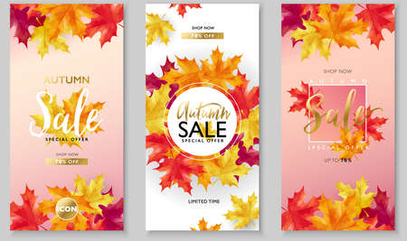 Autumn sale layout decorates with maple leaves on pink and white background for sale promotion, poster, flyer, leaflet, web banner and graphic use. Vector illustration template.のイラスト素材