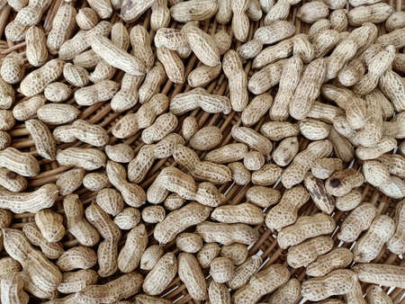 Traditional hand made drying peanuts in Asia. Peanuts in a woven basket.
Peanuts are fuel for the brain. They improve memory, prevent Alzheimer's disease.の写真素材