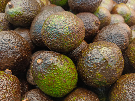 The Hass avocado is a cultivar of avocado with dark greenâ€“colored, bumpy skin. Tasty, fatty...