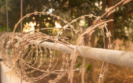Barbed wire around the house. It deters thieves and prevents break-ins. Defocused (bokeh) effect.