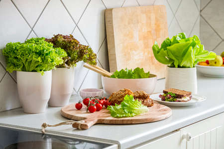 Growing green and red romaine lettuce in pots. Natural, ecological healthy vegetarian breakfast prepared in the kitchen from our own vegetable cultivation. A meal for gourmets and people who like an eの写真素材