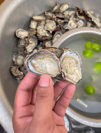 Chef showing a freshly opened oyster before serving with a lime. In the background, limes and oysters being cleaned. Close-up of the open oyster. Oysters are a natural aphrodisiac.の写真素材