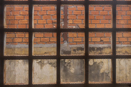 Barred window with steel grille and woven wire grille. View of a partially plastered brick building....