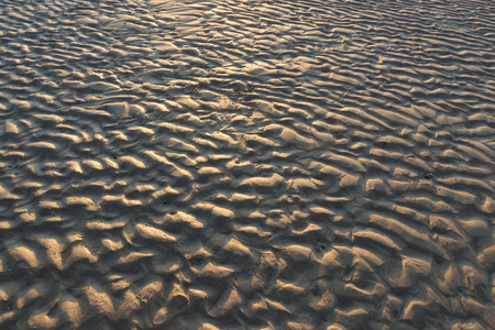 wave of sand  texture on the beachの写真素材
