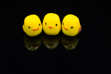 3 tiny chicken modelsの写真素材