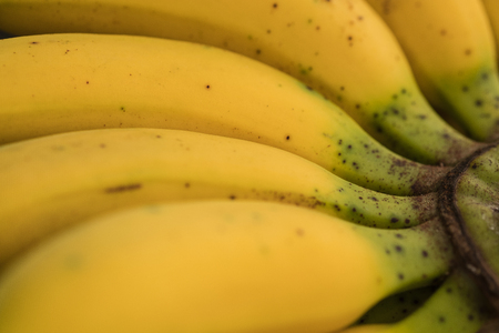 a bunch of bananaの写真素材