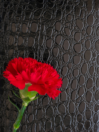 black leather cover diary or notebook of love and romance with a red carnation lying on top to write down passionate and romantic notes. copy space, top viewの写真素材