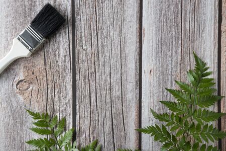 A white paint brush and sprigs of fresh forest fern leafs.の写真素材