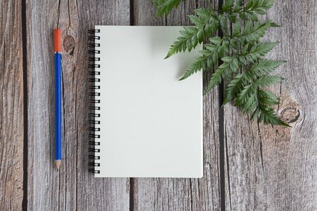 A spiral notebook with white empty page, blue pencil and sprigs of fresh forest fern leafs.の写真素材