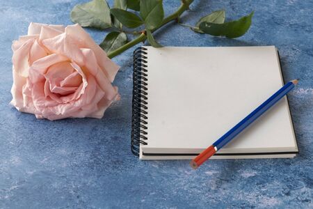 A spiral notebook with white empty page, blue pencil and pink color rose.