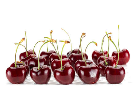 Rows and columns of fresh cherries. Isolated on white background.の写真素材