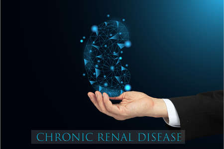 A man holding a model of a kidney with text describing chronic renal disease.の写真素材