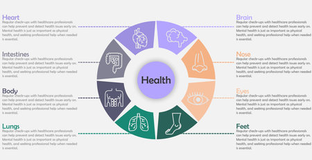 Infographic health care template for treatment and health care information presentation. Vector proportional circle with organ icons and examples sentences. workflow diagrams. Report plan 8 topicsのイラスト素材
