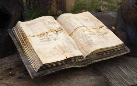 An open blank wooden book outdoor