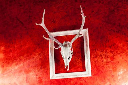 Deer Antlers in the Frame on Red Backgroundの写真素材