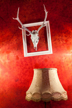 Deer Antlers in the Frame and a lampの写真素材