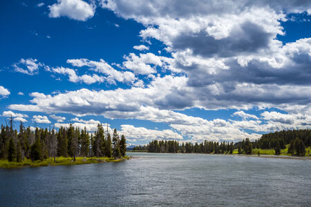River and forest landscape in Yellowstone National Park, Wyoming, USAの写真素材