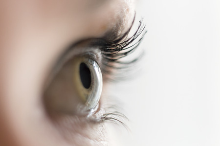 Close up of a green eye looking aside