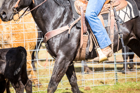 Cowboy riding on a brown horse .の写真素材